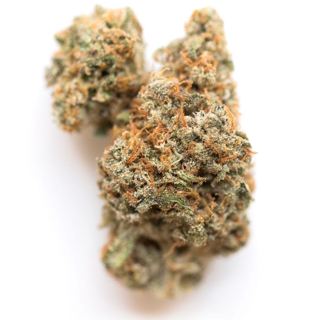 Dolato Marijuana Strain