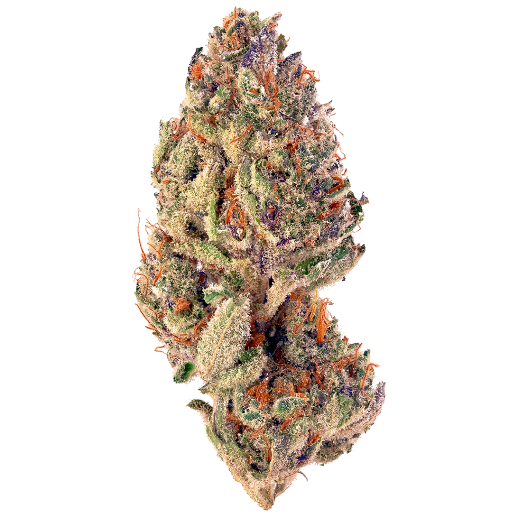 Slurricane Marijuana Strain