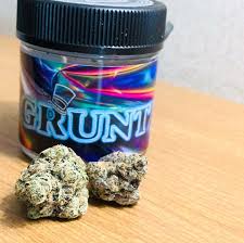 Buy Gruntz marijuana strain seeds for sale to get detailed Gruntz marijuana strain information. Discover high-quality Grunt seeds and Gruntz strain seeds available now. Find Gruntz strain for sale and buy Gruntz strain seeds with ease.